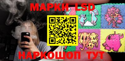 амф Кингисепп